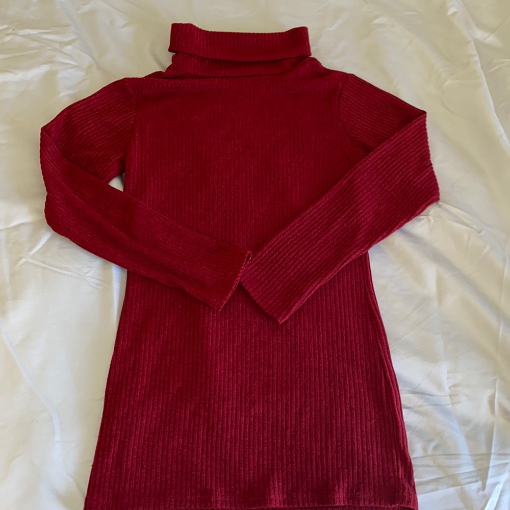 Long sleeve, turtle neck dress